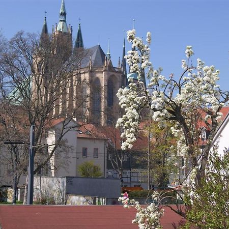 Hotelpension Am Dom Erfurt Esterno foto