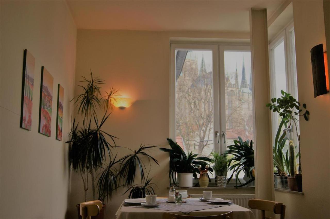 Hotelpension Am Dom Erfurt Esterno foto