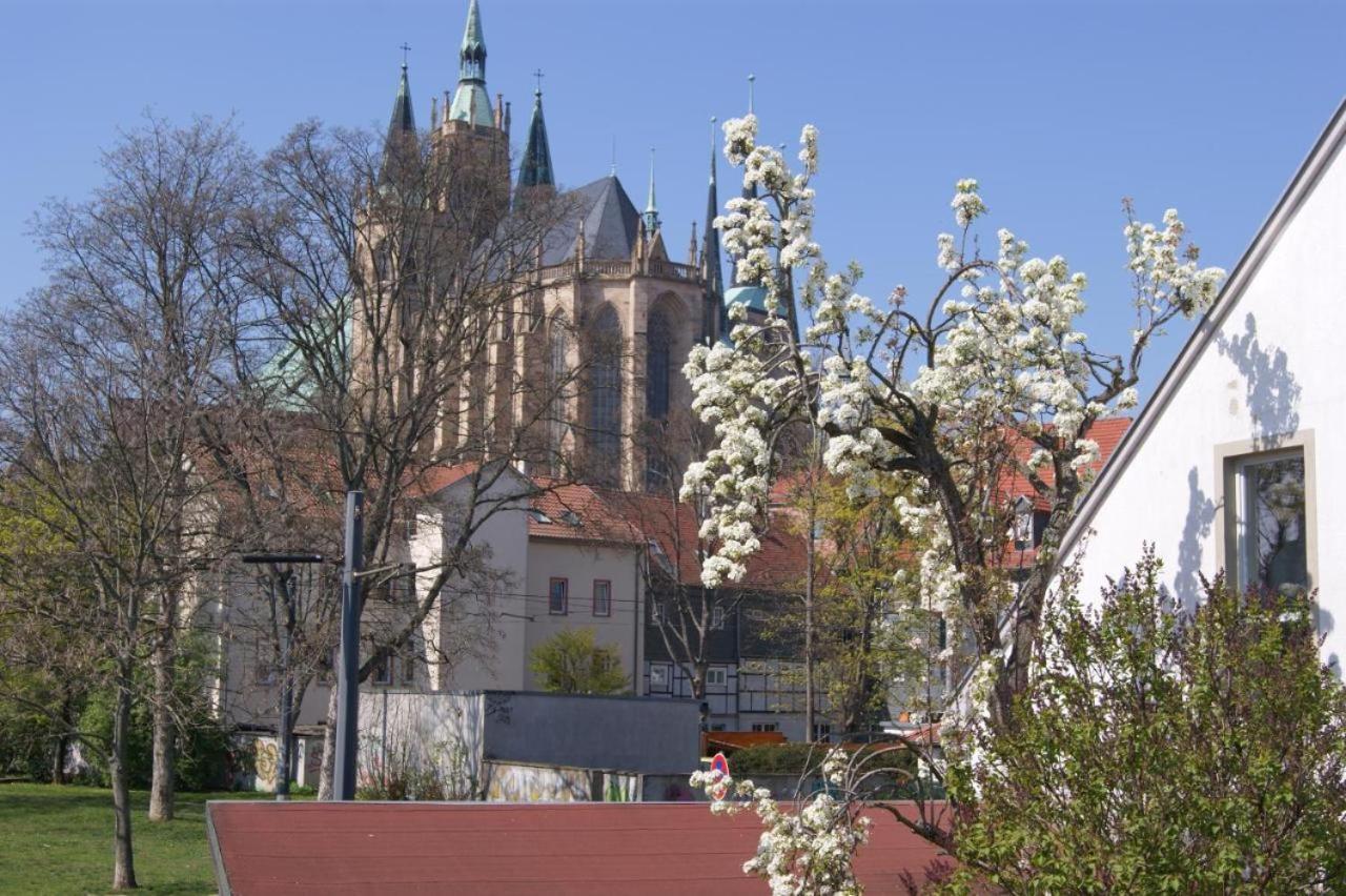 Hotelpension Am Dom Erfurt Esterno foto